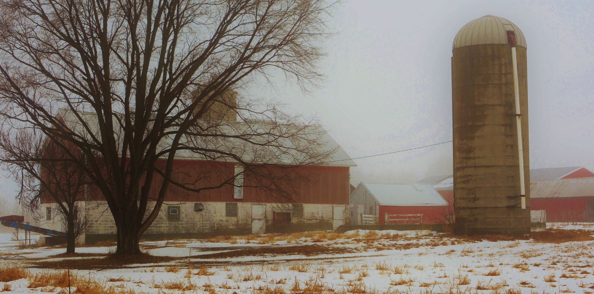 Old farm survives mists of time